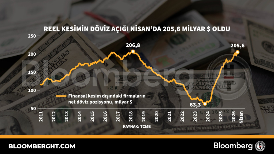 Reel Kesimin Döviz Açığı Nisan'da 205,6 Milyar Dolar